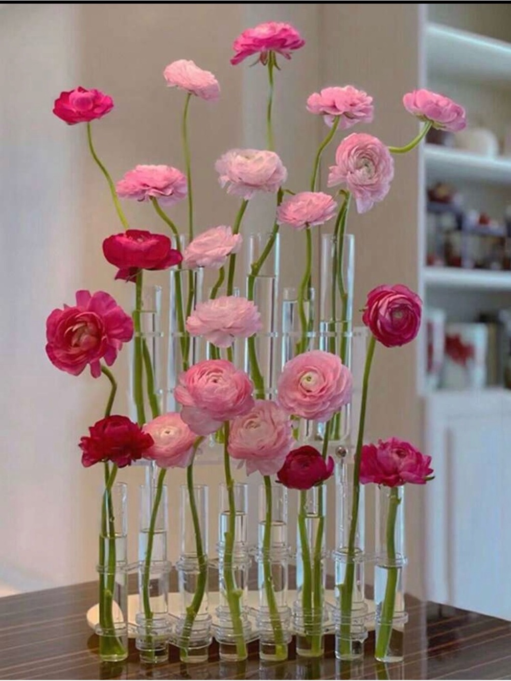 NWT- 8 Piece Test Tube Vase Set